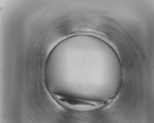 X0000088171533200706121613