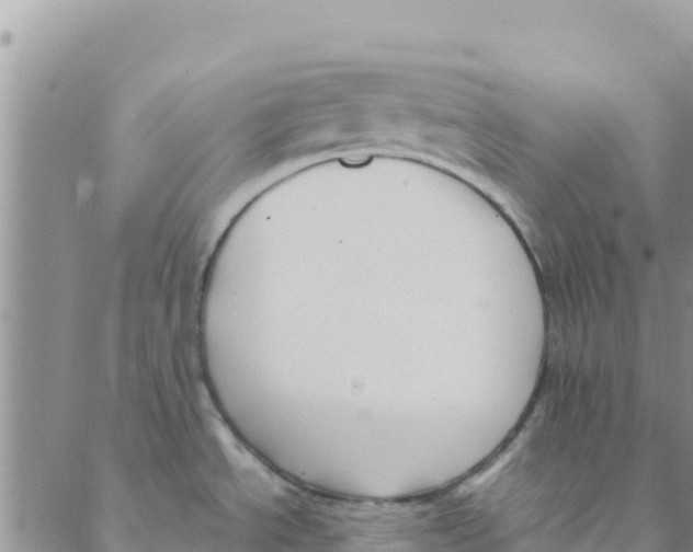 X0000088171534200706121613