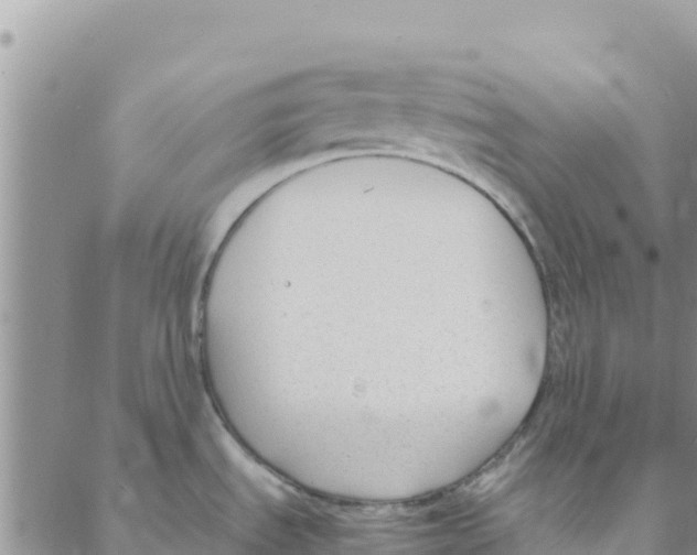 X0000088171535200706121613