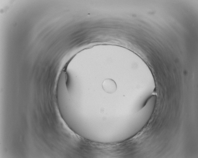 X0000088171536200706121613