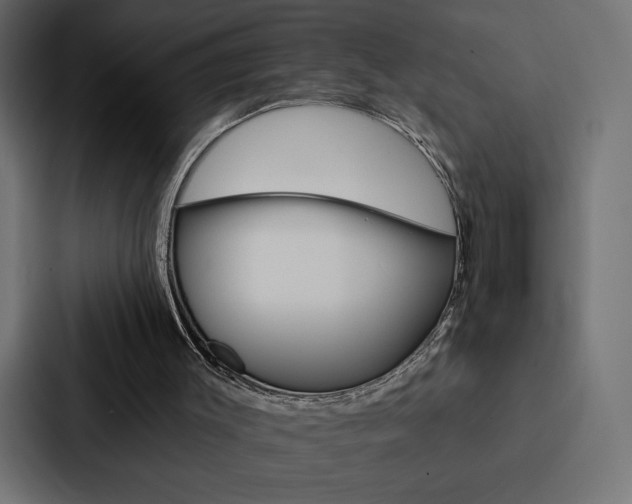 X0000088180003200705150948