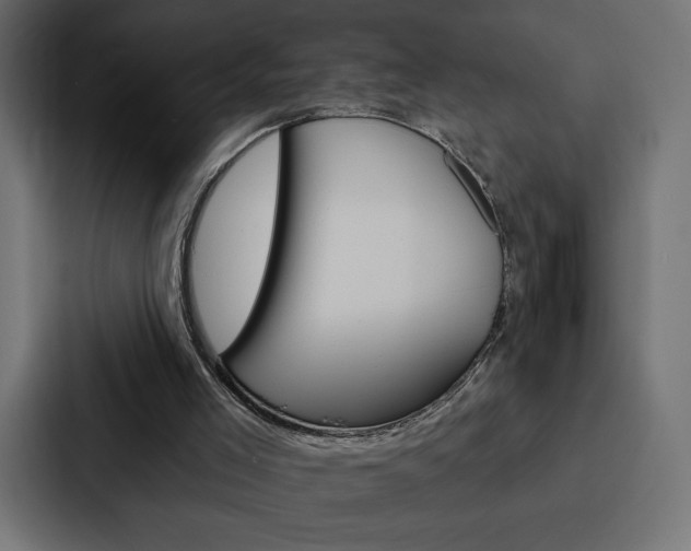 X0000088180005200705150948