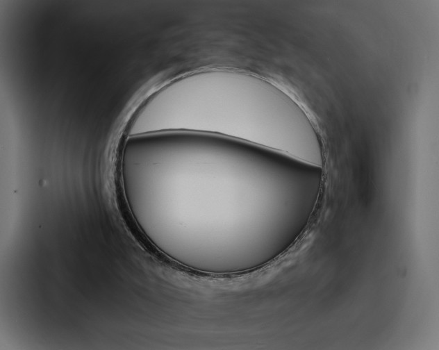 X0000088180007200705150948