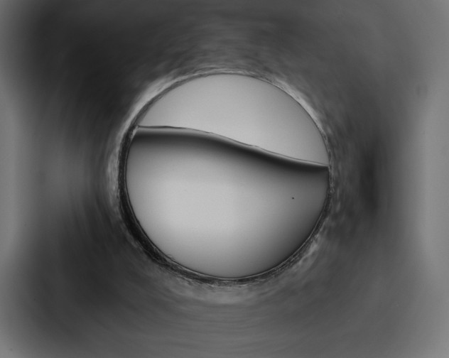 X0000088180008200705150948