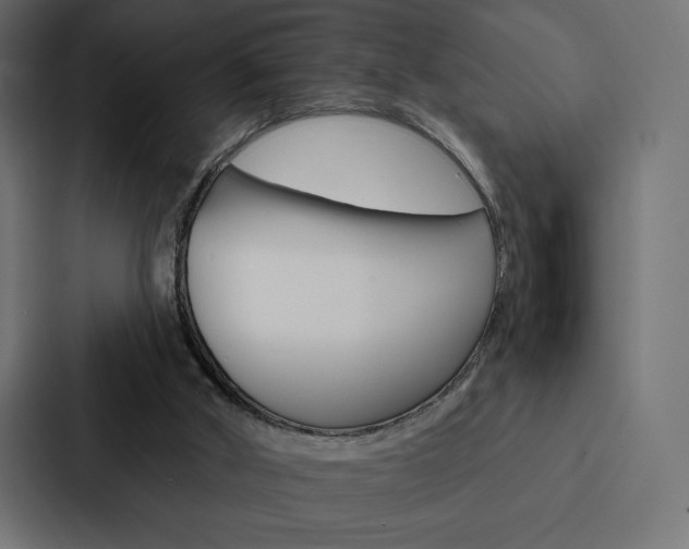 X0000088180010200705150948