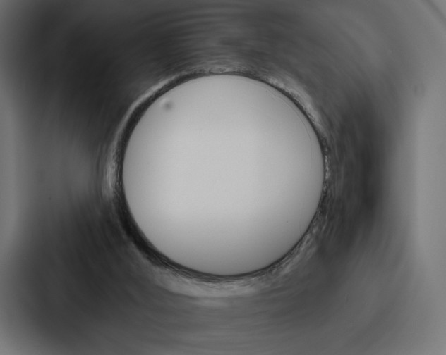 X0000088180012200705150948