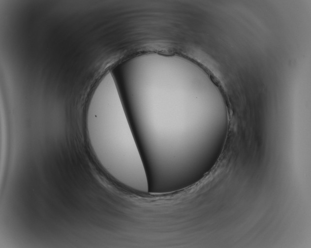 X0000088180013200705150948