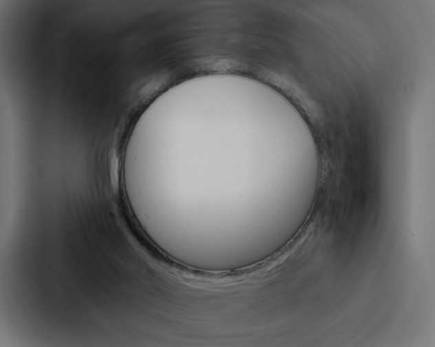 X0000088180014200705150948