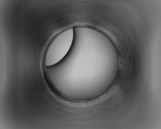 X0000088180015200705150948