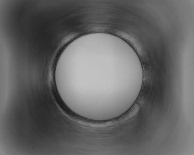 X0000088180016200705150948