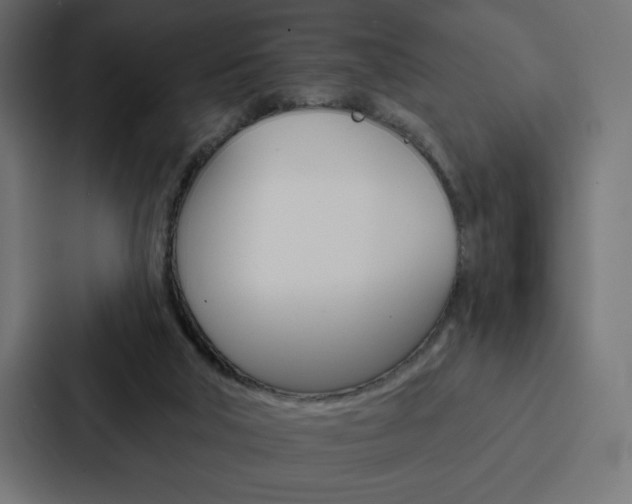 X0000088180018200705150948