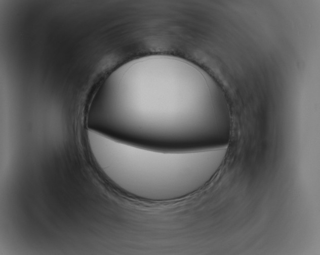X0000088180019200705150948