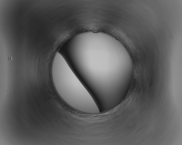 X0000088180023200705150948