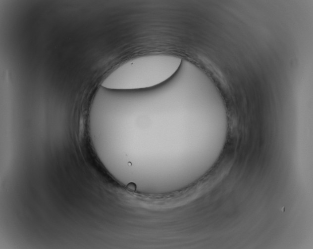 X0000088180026200705150948