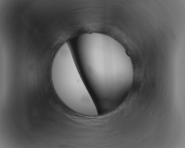 X0000088180027200705150948