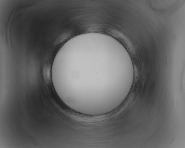 X0000088180028200705150948