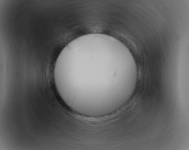 X0000088180030200705150948