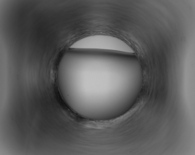 X0000088180033200705150948