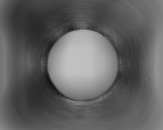 X0000088180034200705150948