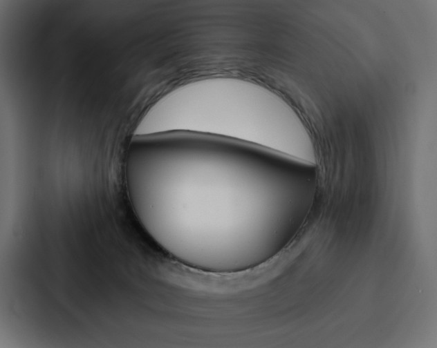 X0000088180035200705150948