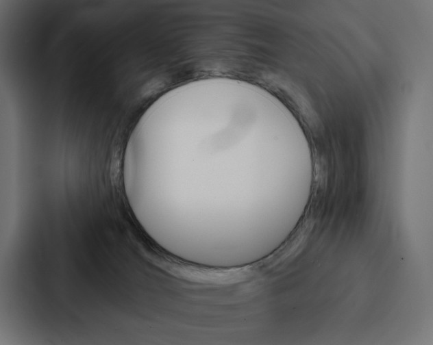 X0000088180036200705150948