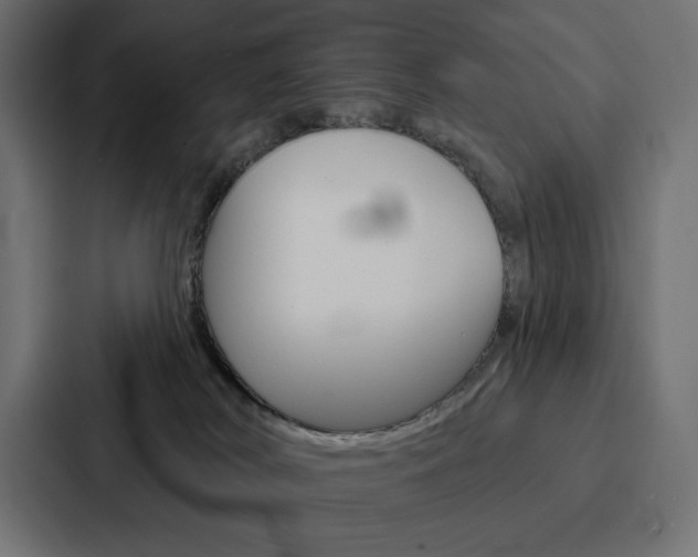 X0000088180038200705150948