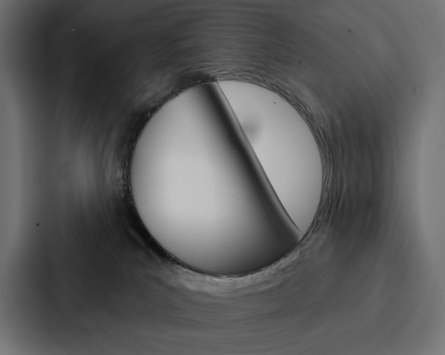 X0000088180039200705150948