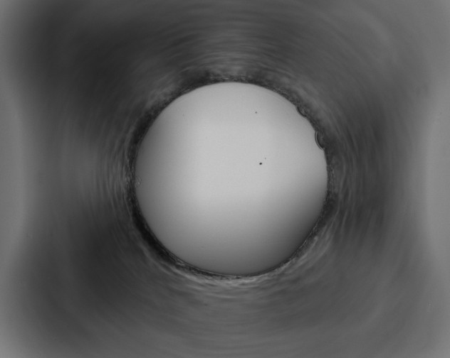 X0000088180040200705150948