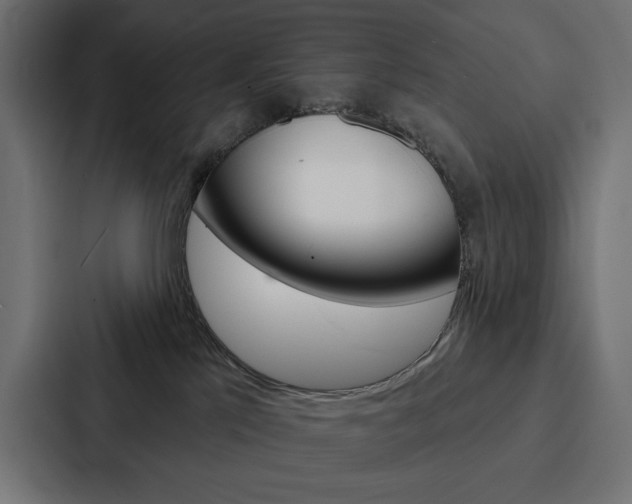 X0000088180041200705150948