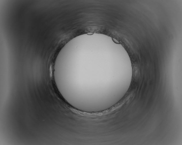 X0000088180042200705150948