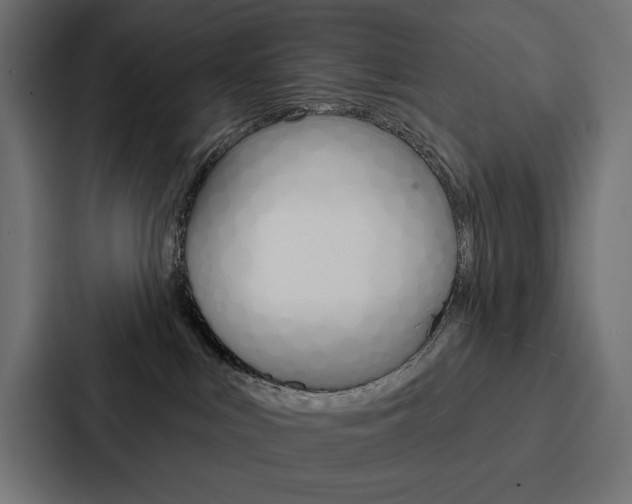 X0000088180043200705150948