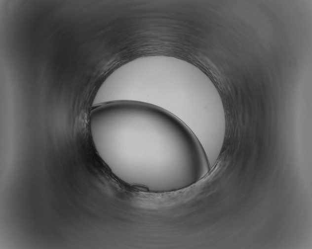 X0000088180045200705150948