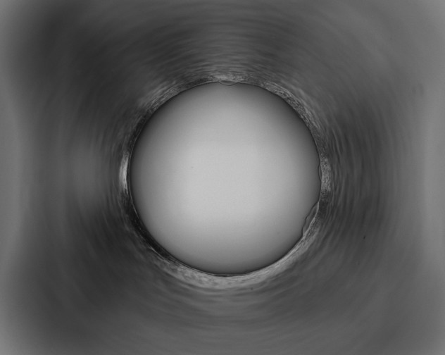 X0000088180047200705150948