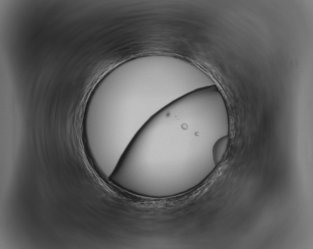 X0000088180049200705150947