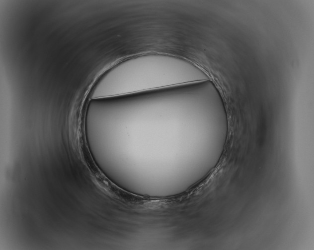 X0000088180050200705150947