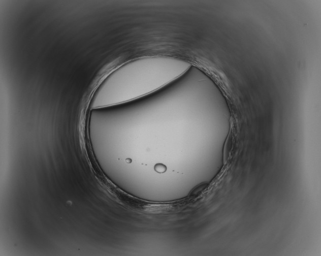 X0000088180051200705150947