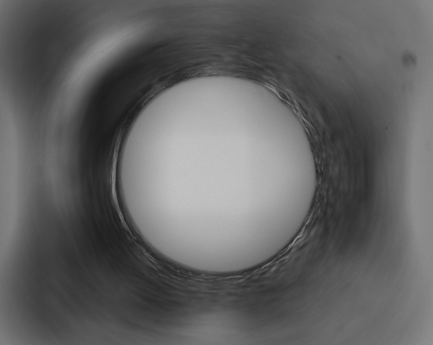 X0000088180052200705150947