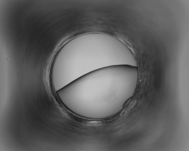 X0000088180053200705150947