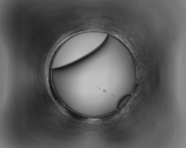 X0000088180055200705150947