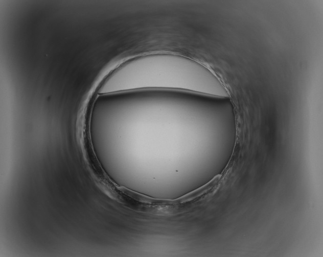 X0000088180056200705150947