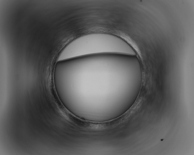 X0000088180057200705150947