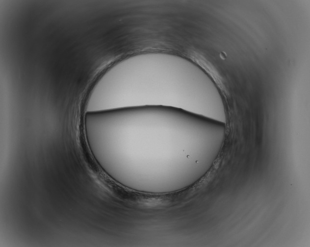X0000088180058200705150947