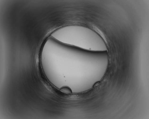 X0000088180059200705150947