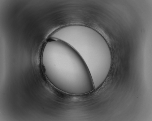 X0000088180060200705150947