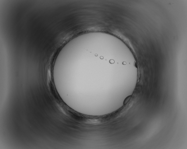 X0000088180061200705150947