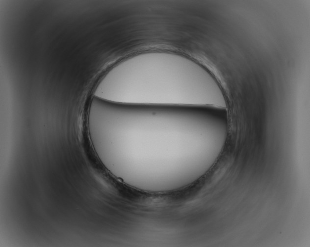 X0000088180063200705150947