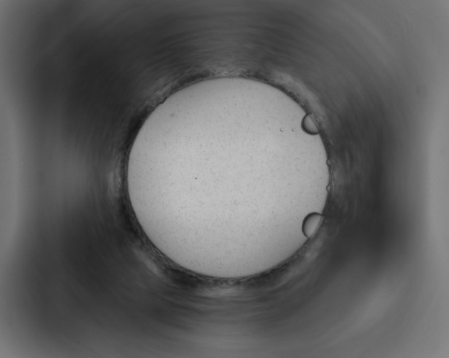 X0000088180065200705150947