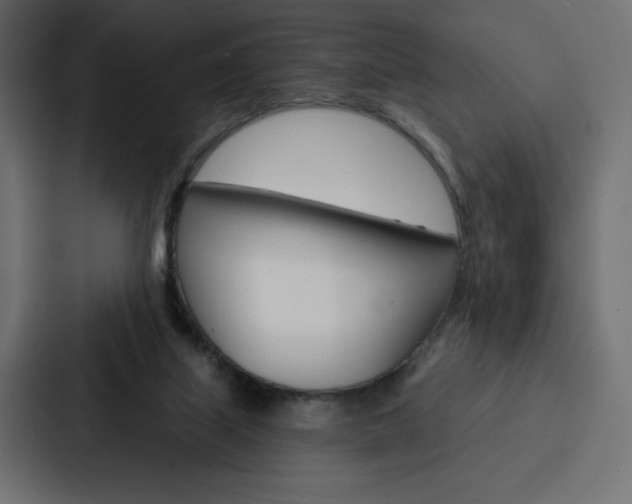 X0000088180067200705150948