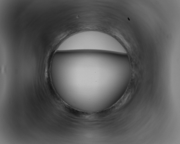 X0000088180068200705150948