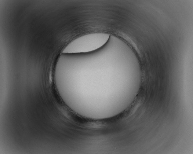 X0000088180069200705150948